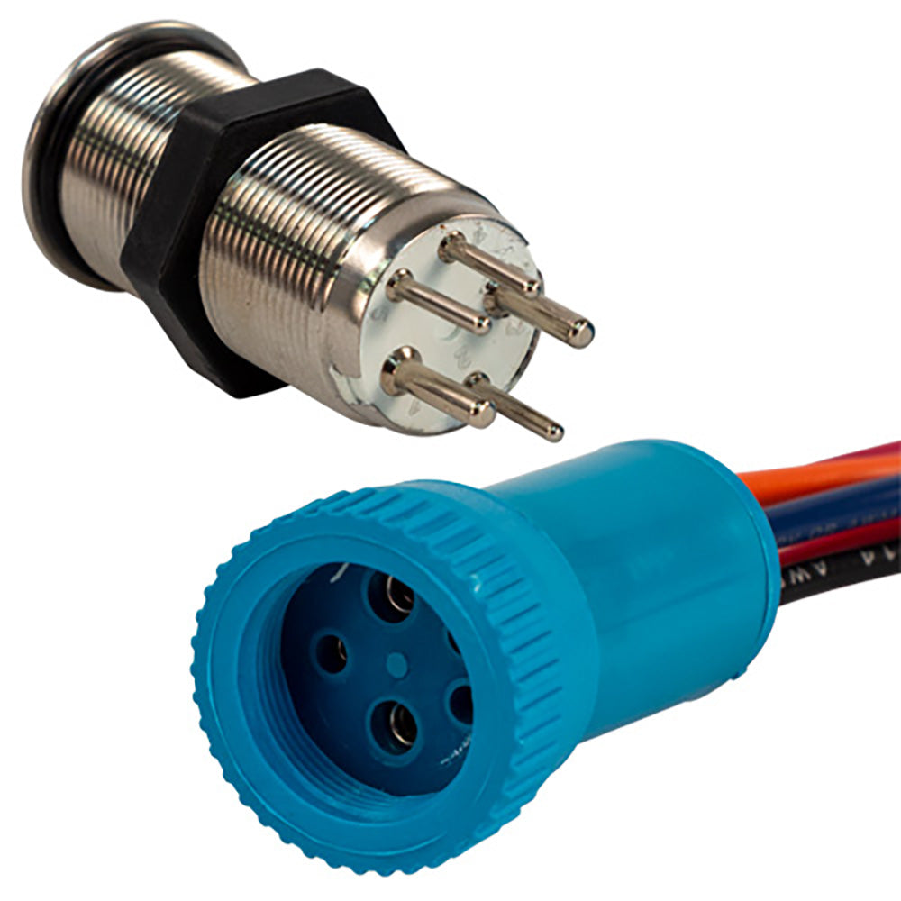 Interruptor de botón pulsador Bluewater de 19 mm - Apagado/(Encendido)/(Encendido) Contacto momentáneo doble - LED azul/verde/rojo - Cable de 1' [9057-2123-1]