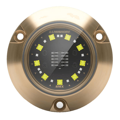 Lumishore ECLIPSE SMX24 Single Light Surface Mount Underwater Light - White [010-04503-00]